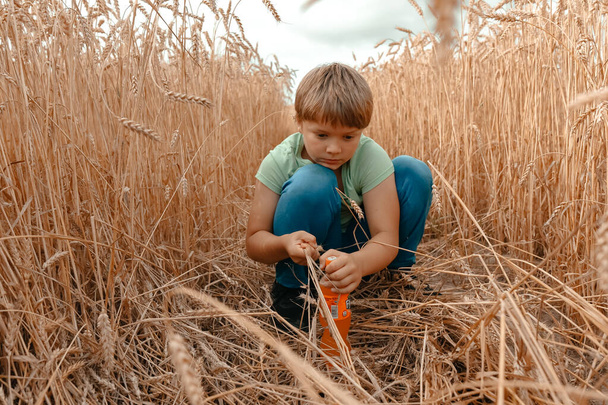 Close-up of a little grimy boy sitting in a wheat field trying to open a bottle with a drink. Child in a wheat field. Rural landscape. - Фото, изображение