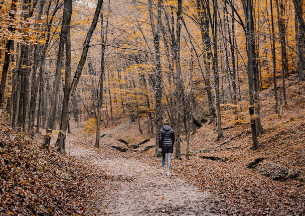 Uno scatto di una donna che cammina in una foresta autunnale - Foto, immagini