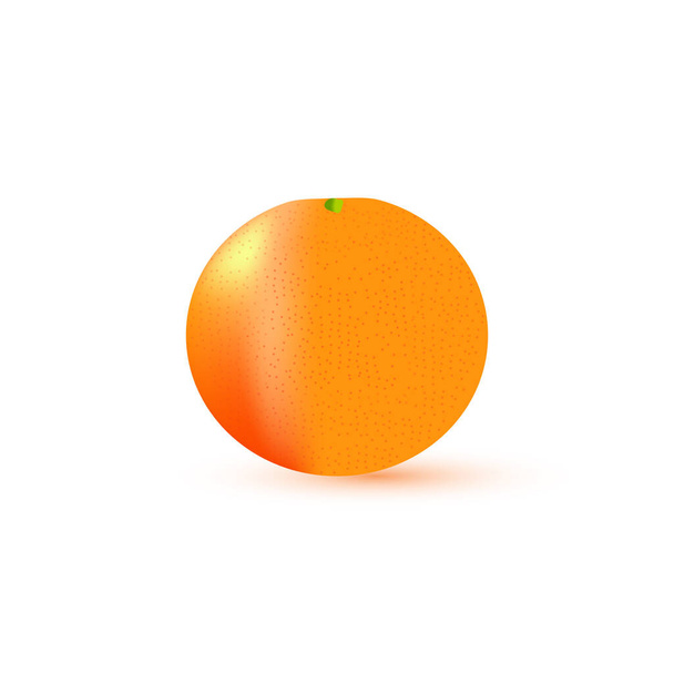 Colorful mandarin icon. Vector illustration - Vettoriali, immagini