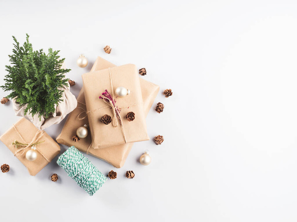 Xmas wrapped gifts stack and tree plant as gift - Valokuva, kuva