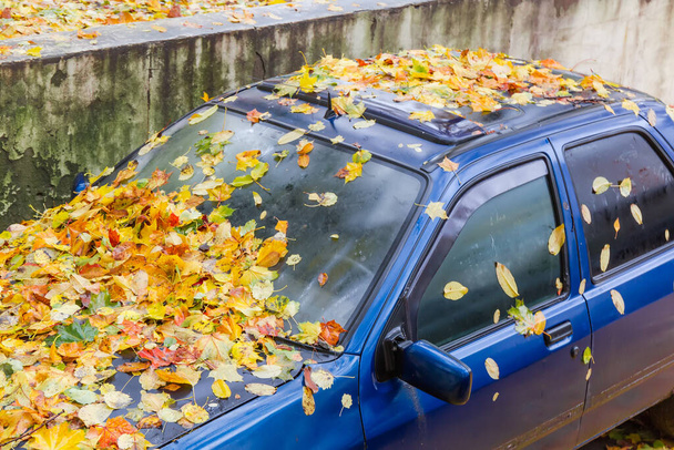 Фрагмент старого зношеного блакитного автомобіля, капот, вітрове скло і дах покриті вологим опалим листям в осінню дощову погоду
 - Фото, зображення