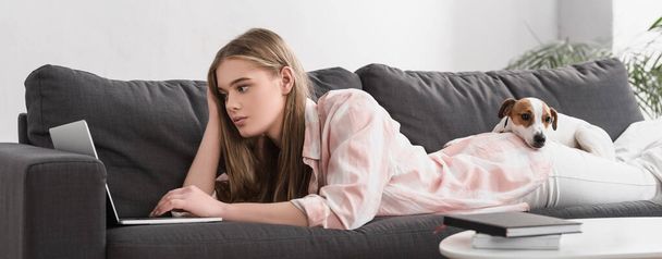 молодая женщина лежит на диване с Джеком Рассел терьер и с помощью ноутбука, баннер - Фото, изображение