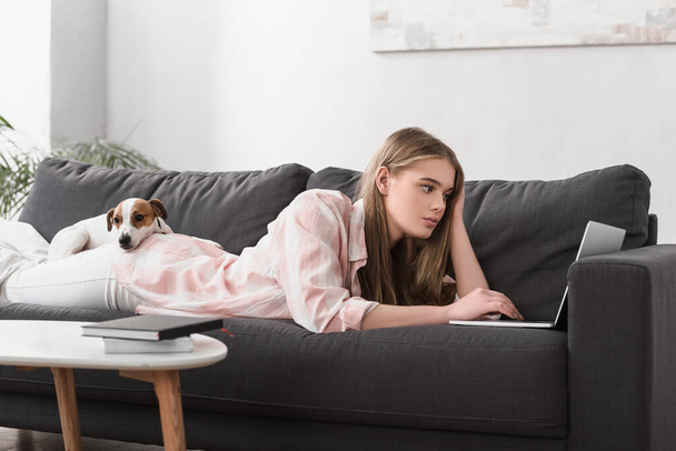 νεαρή γυναίκα ξαπλωμένη στον καναπέ με τον Jack Russell Terrier και χρησιμοποιώντας φορητό υπολογιστή στο σαλόνι  - Φωτογραφία, εικόνα