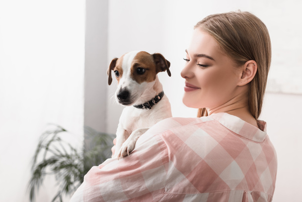 joven alegre mujer celebración en brazos jack russell terrier en sala de estar  - Foto, Imagen