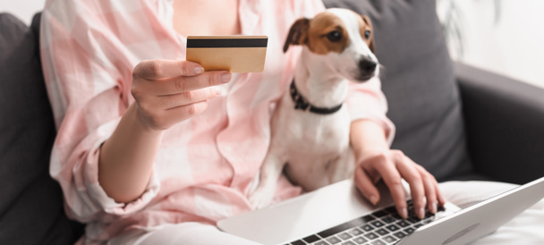 частичный вид молодой женщины, держащей кредитную карту рядом с собакой и ноутбуком во время покупок в Интернете дома, баннер - Фото, изображение