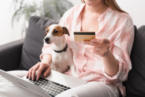 abgeschnittene Ansicht einer jungen Frau mit Kreditkarte in der Nähe von Jack Russell Terrier und Laptop beim Online-Shopping zu Hause - Foto, Bild
