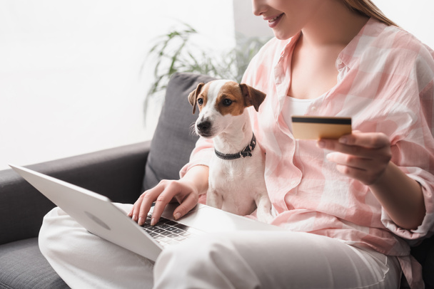 vista recortada de la mujer feliz sosteniendo la tarjeta de crédito cerca del perro y el ordenador portátil, mientras que las compras en línea en casa - Foto, Imagen