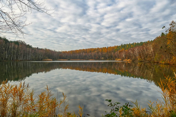 Озеро Оберзеє в районі озера Вілл восени. - Фото, зображення