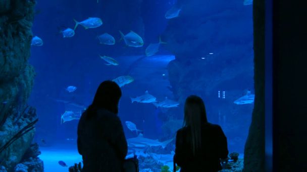 Two woman in the oceanarium watching the fish. Tourism and entertaiment concept - Photo, Image