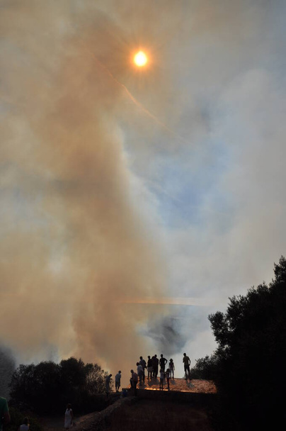 Waldbrand auf einem Berg in Mallorca - Foto, afbeelding