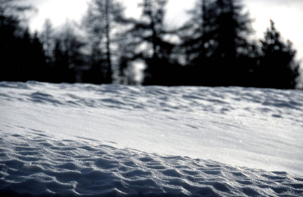 Весенняя снежная кора в Альпах на размытом фоне хвойных деревьев. - Фото, изображение