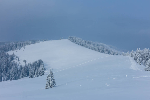 gyönyörű téli táj hóval borított fák - Fotó, kép