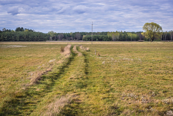 Droga polowa wśród łąk na Mazowszu - Zdjęcie, obraz