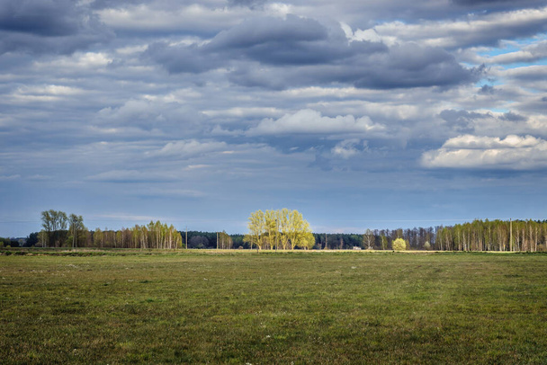 Mraky nad loukou v polské oblasti Mazowsze - Fotografie, Obrázek