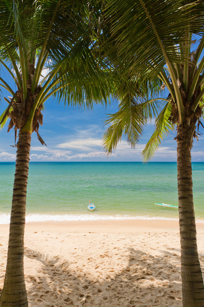 Praia de areia com palmeiras e canoas em Phu Quoc perto de Duong Dong, Vietnã
 - Foto, Imagem
