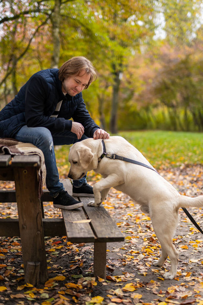 Happy man with dog in park. Labrador sniffs bench in park. Best friends concept. - Foto, afbeelding