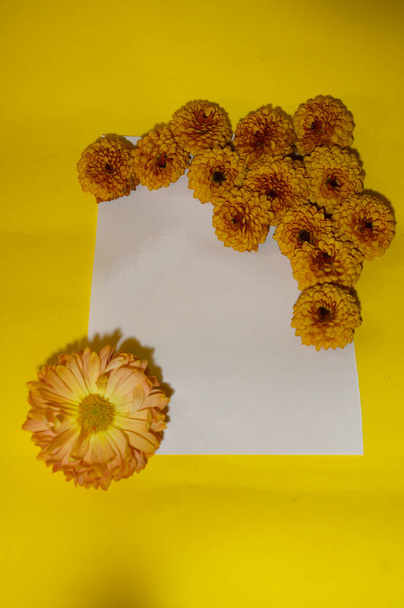 pila de hermosas flores con papel blanco vacío sobre fondo amarillo, concepto de verano, vista cercana   - Foto, Imagen
