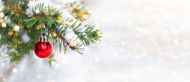 Red Christmas ball hangs on a snow-covered branch of a Christmas tree against a festive background of white snow and golden bokeh lights with copy space. New Year, greeting and holiday card, banner. - Foto, Imagen