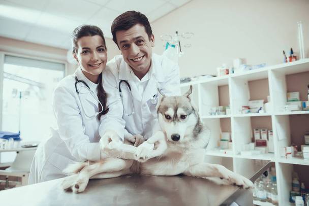 Veterinarians put a bandage on sore paw of dog. - Фото, изображение