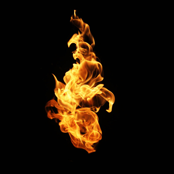 Fire flames collection isolated on black background - Photo, Image