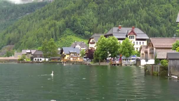 Hallstatt városa és hattyú a tóban, Ausztriában. Festői város Hallstatt, Felső-Ausztria államban. - Felvétel, videó