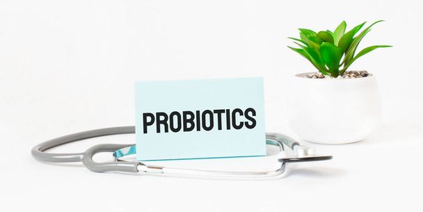 PROBIOTICS word on notebook,stethoscope and green plant - Foto, imagen