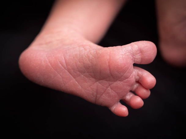 Close up of newborn baby feet covered with the blanket - Photo, Image