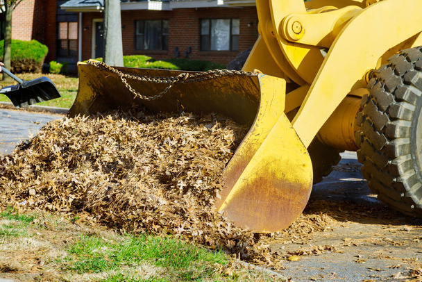 El trabajo estacional para mejorar los lugares públicos limpia la acera de la ciudad de hojas caídas con una excavadora - Foto, imagen