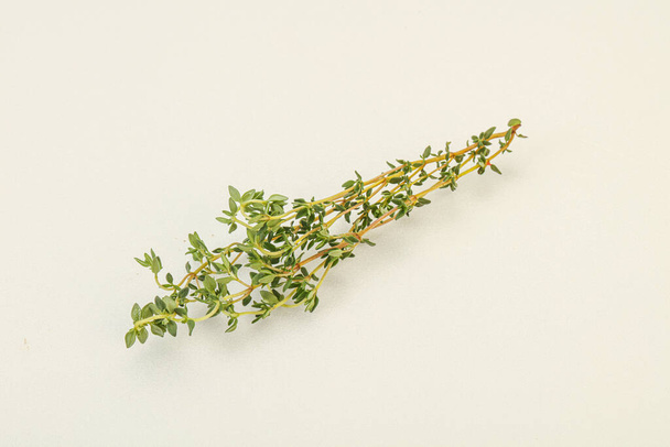 Aroma food Fresh green thyme branch - Fotó, kép
