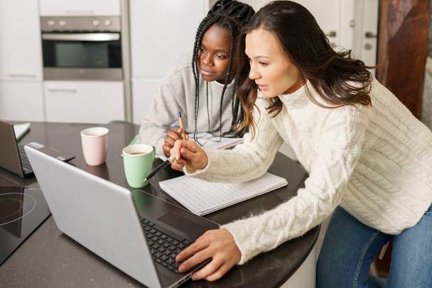 Dos chicas universitarias estudiando juntas en casa con ordenadores portátiles mientras beben café - Foto, imagen