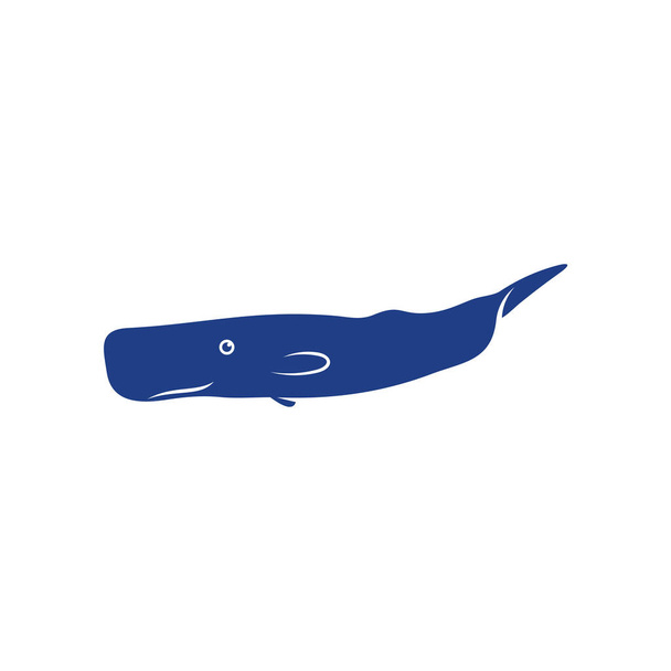 Vector de diseño de ballena, plantilla de ilustración de ballena creativa - Vector, imagen