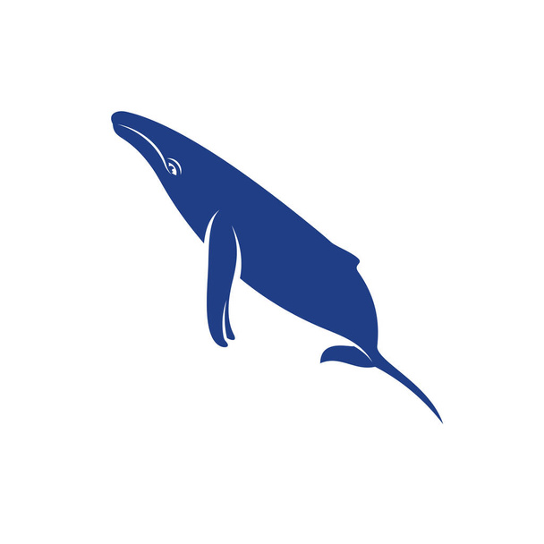Walvis design vector, Creatieve walvis illustratie template - Vector, afbeelding