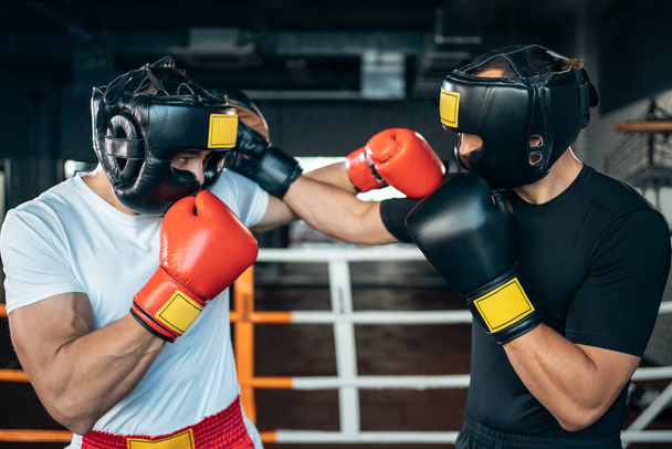 two muscle boxers sport man training and fighting on boxing ring at gym - Fotografie, Obrázek