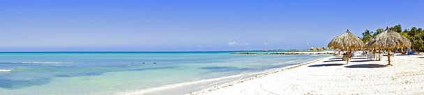 Palm beach - Photo, Image