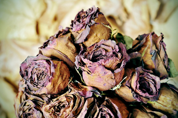 gedroogde rozen - Foto, afbeelding