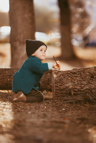a two-year-old boy in a hat and jacket sits on a log in a Pine forest against the setting sun. image with selective focus - Фото, зображення