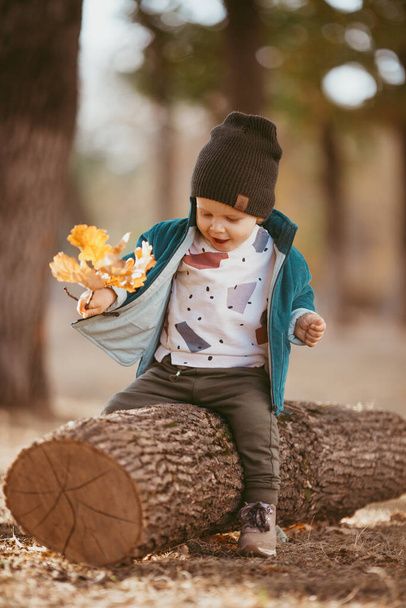 a two-year-old boy in a hat and jacket sits on a log in a Pine forest against the setting sun. image with selective focus - Foto, imagen