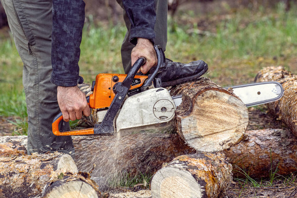 Woodcutter saws tree with chainsaw on outdoor sawmill - Foto, Bild