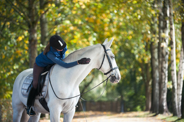 Señora ecuestre montando a caballo y acariciando el cuello de caballo blanco. Vibrante color al aire libre horizontal imagen otoñal con filtro - Foto, Imagen