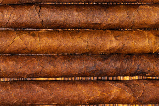 Rolled cigars in a row on wooden background - Фото, изображение