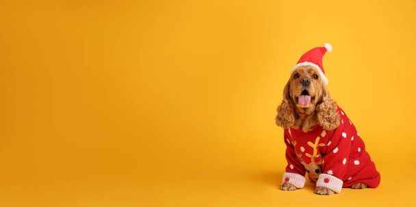 Adorable Cocker Spaniel in Christmas sweater and Santa hat on yellow background, space for text - Zdjęcie, obraz