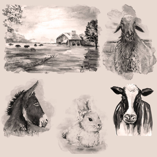 Disegno ad acquerello illustrazione di animali da fattoria. - Foto, immagini