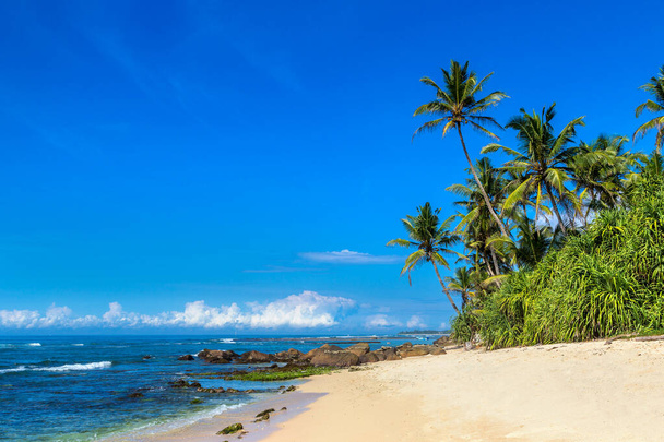 Beach in a sunny day in Sri Lanka - Zdjęcie, obraz