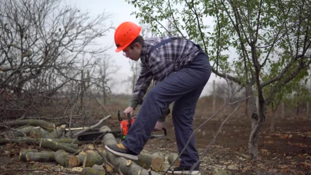 Jovem lenhador iniciando motosserra e serrar árvore log, trabalhador em capacete de segurança - Filmagem, Vídeo