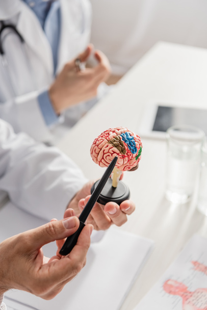 Widok lekarza wskazującego długopisem na anatomiczny model mózgu w pobliżu kolegi na niewyraźnym tle - Zdjęcie, obraz