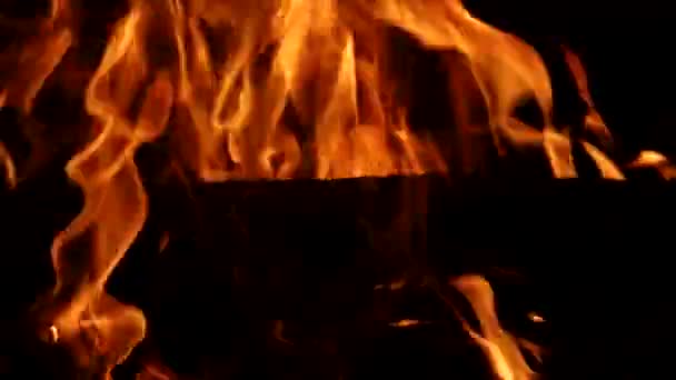 Lagerfeuer bei Nacht im Wald - Filmmaterial, Video