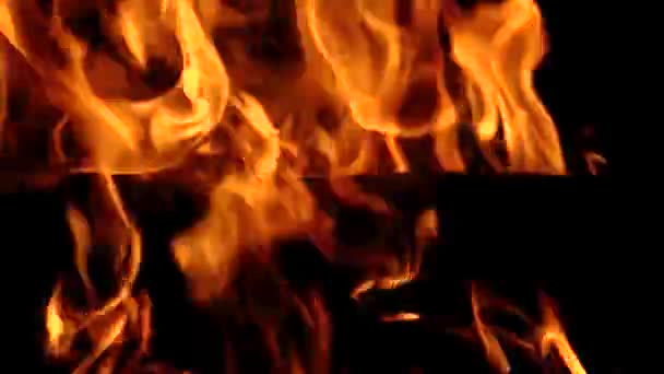 Lagerfeuer bei Nacht im Wald - Filmmaterial, Video