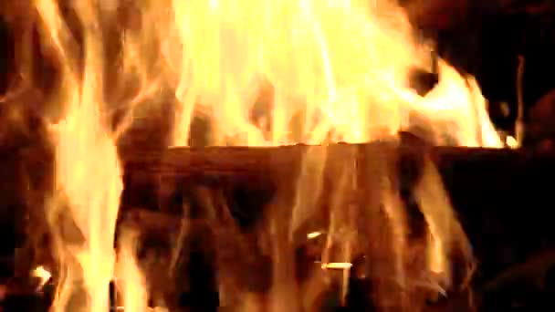 Φωτιά τη νύχτα στο δάσος - Πλάνα, βίντεο