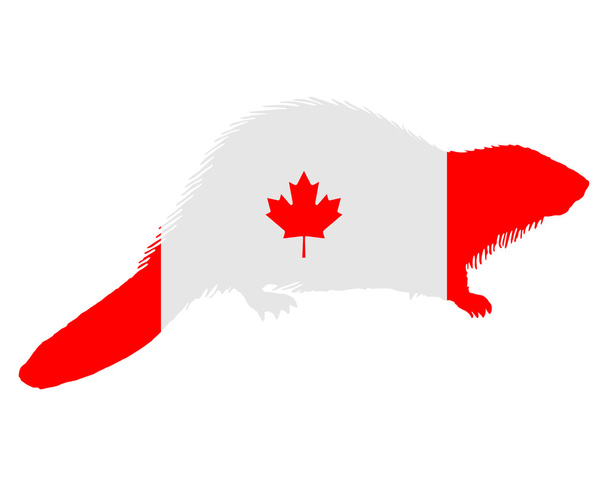 καναδική κάστορας - Διάνυσμα, εικόνα