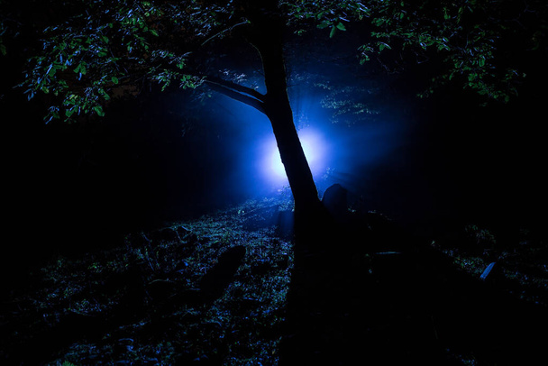 Силует людини, що стоїть у темному лісі зі світлом. Концепція Хеллоуїна жахів. дивний силует в темному пухнастому лісі вночі
 - Фото, зображення